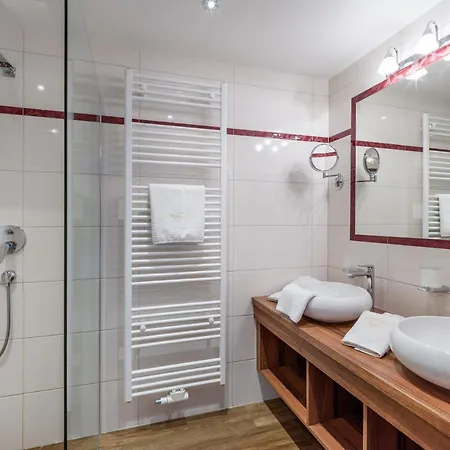 Viktoria & Joggl Hotel 3*