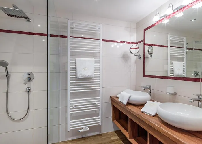 Viktoria & Joggl Hotel 3*